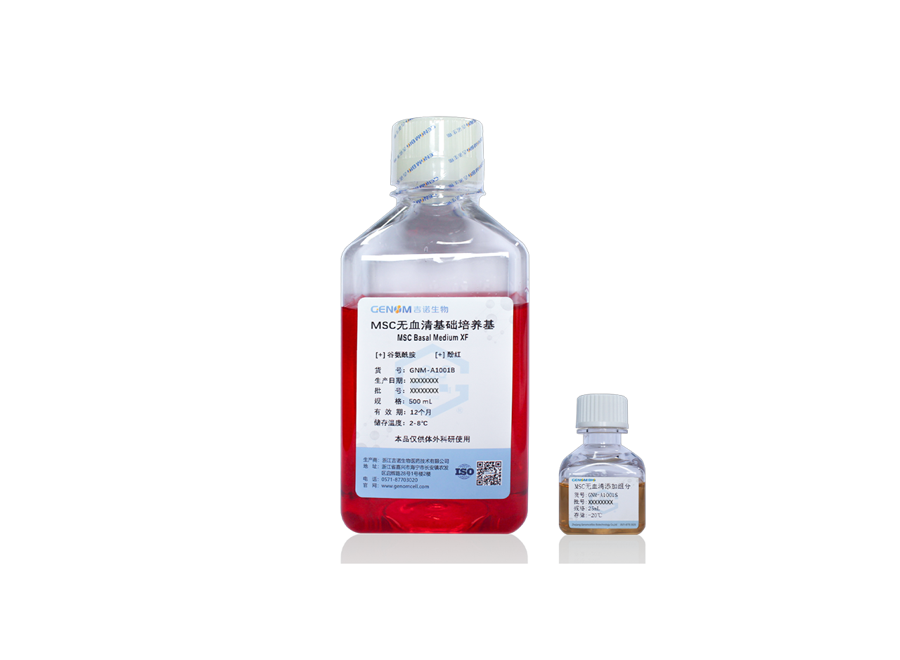 MSC无血清扩增试剂盒