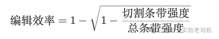13.png