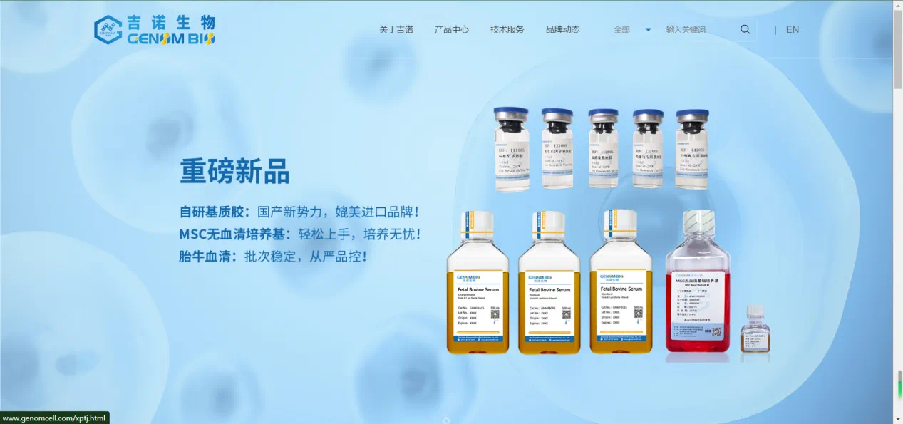 1732755276.png 2.png