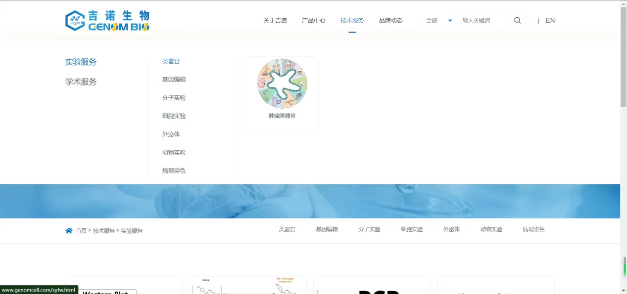 1732755311.png 4.png