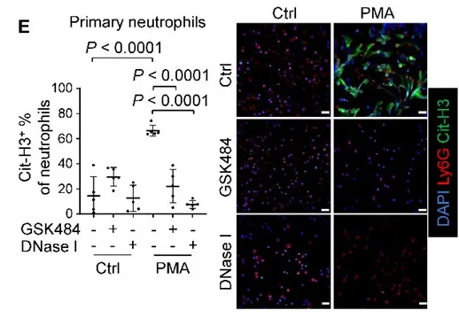 1758529877571097.jpg 640 (1).jpg