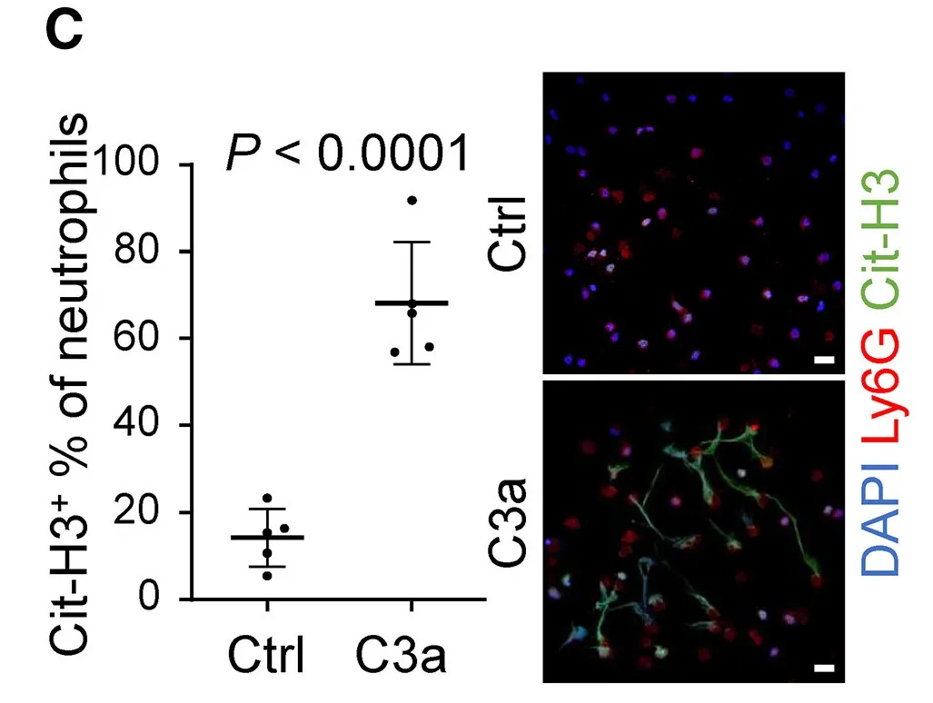 1758529931365505.jpg 640 (3).jpg