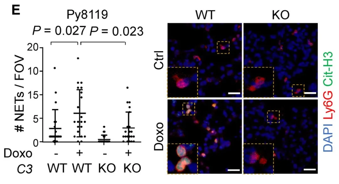 1758529960216524.jpg 640 (4).jpg