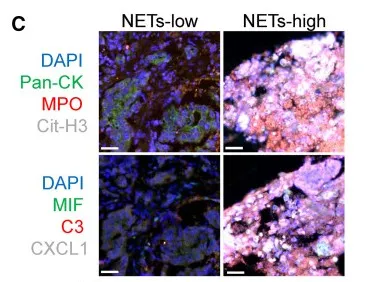 1758529981348400.jpg 640 (6).jpg