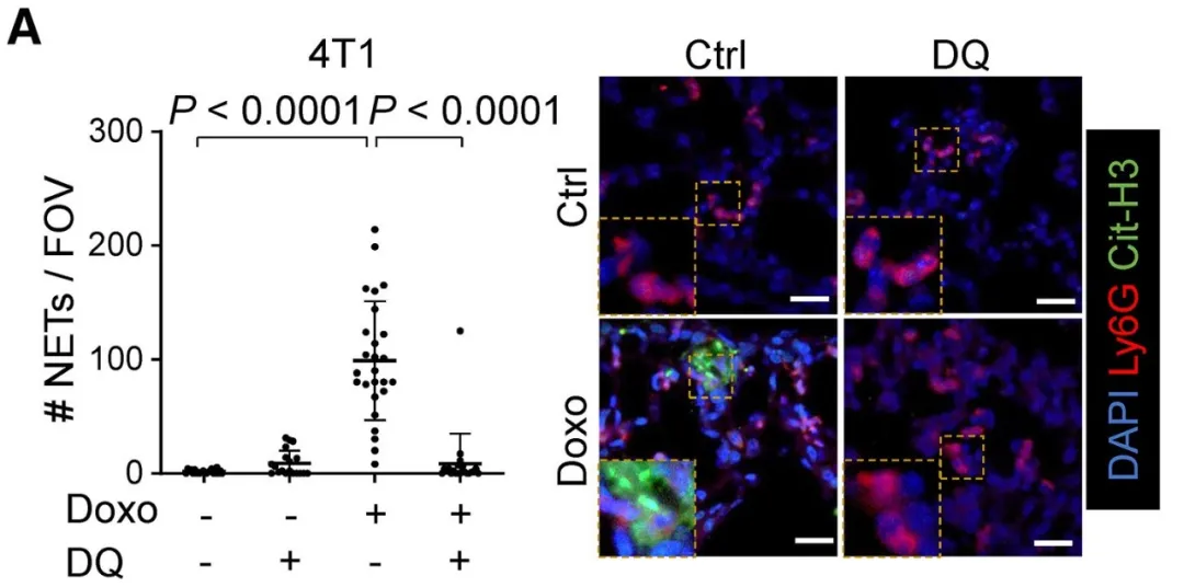 1758529996264045.jpg 640 (7).jpg