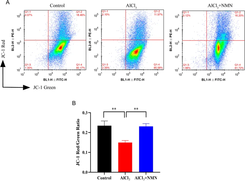 1758531105726900.png 2 (2).png