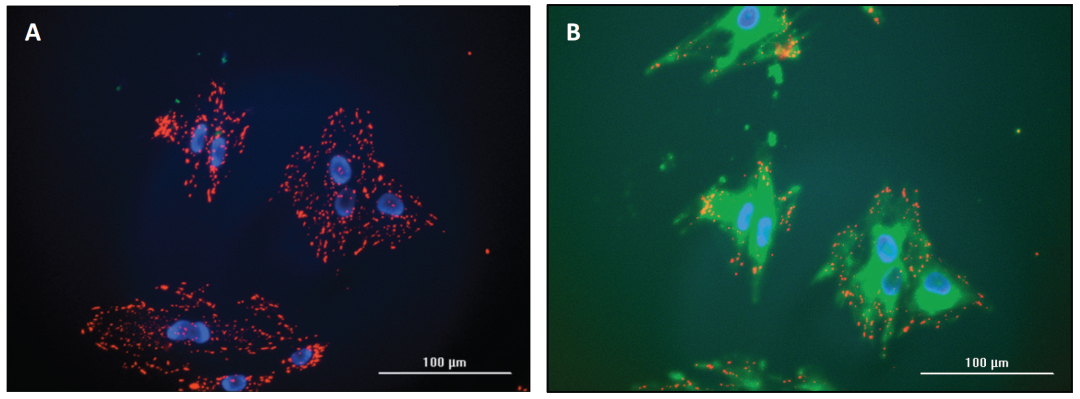 1758531126435192.png 3.png