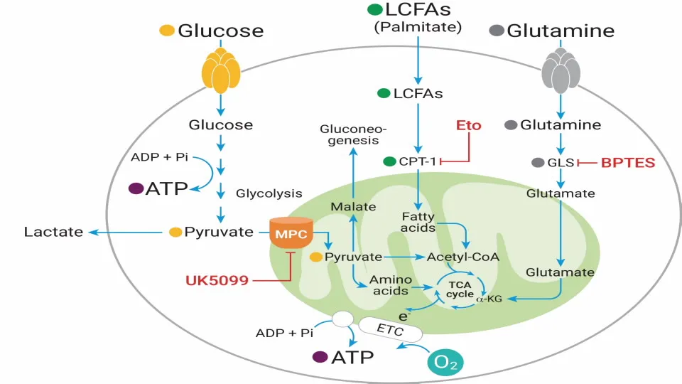 1759283287712847.jpg 2.jpg