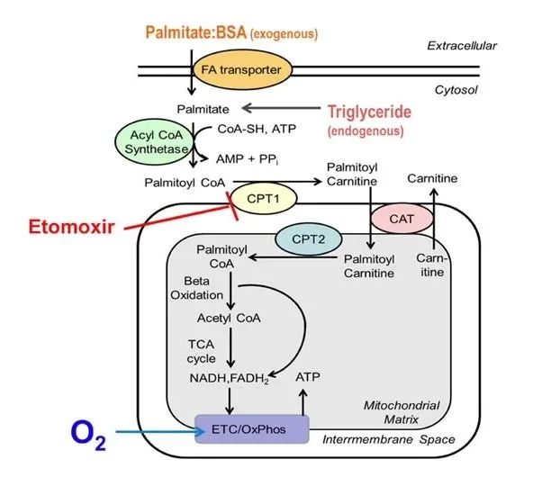 1759283302252936.jpg 3.jpg