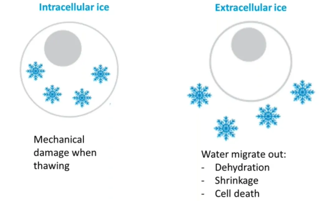 1761290204131991.jpg 2.jpg