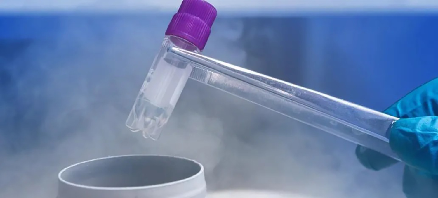 1761290235955353.jpg 1.jpg