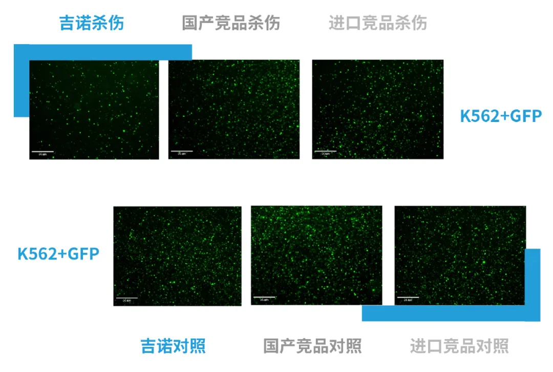 1763702339363331.png 5.png