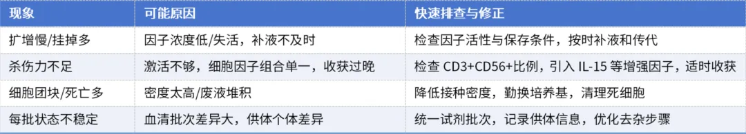 1764234934578499.png 1.png