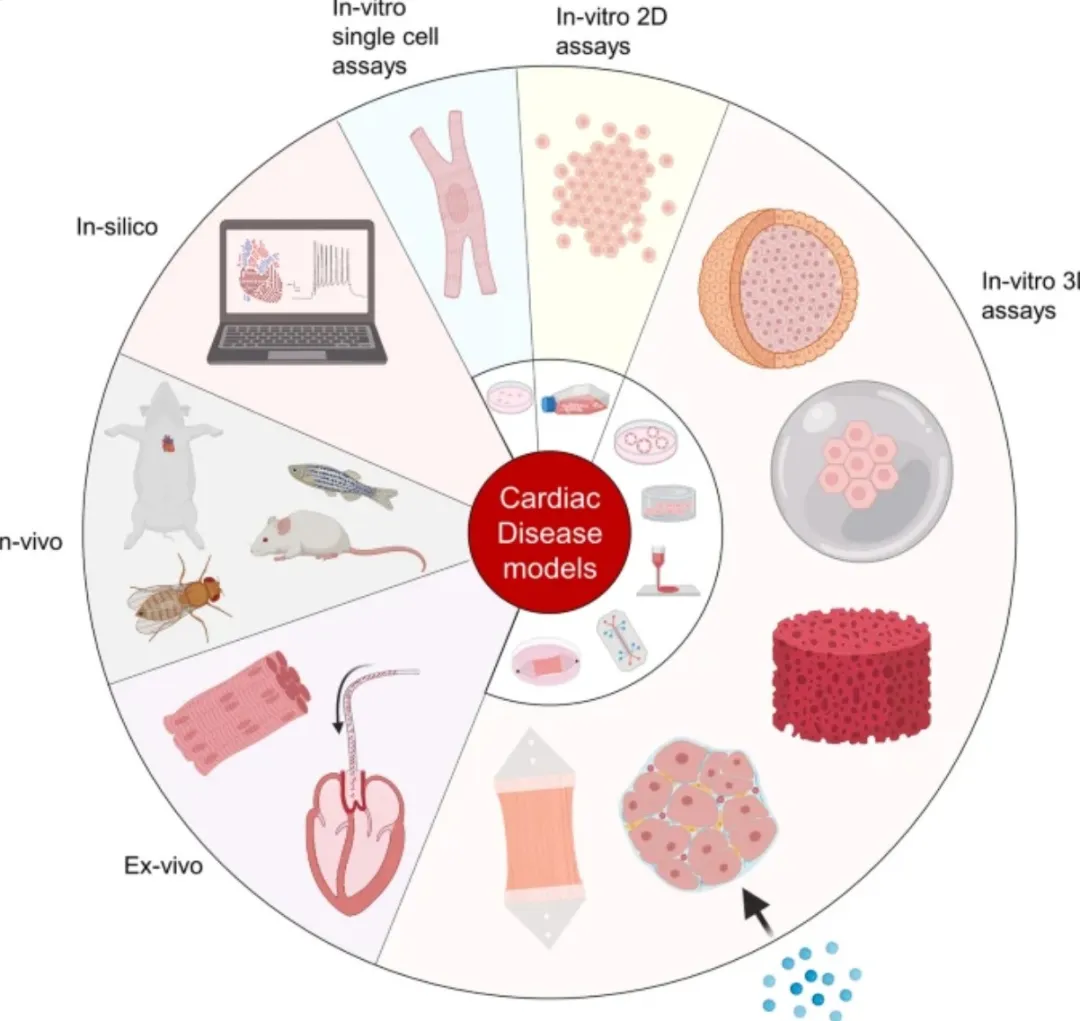 1765418951113783.png 1.png