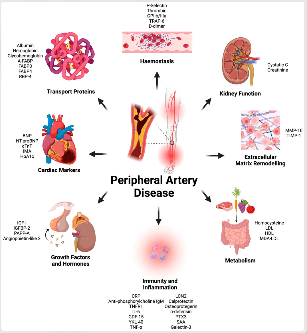 1765418961985227.png 2.png