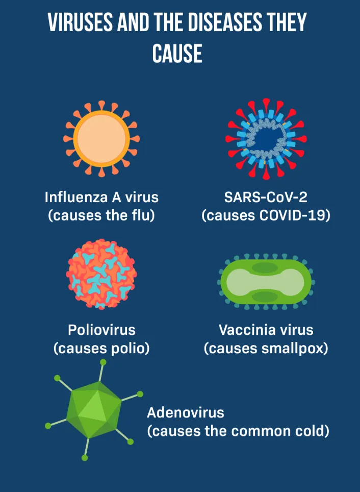 1765418982913781.png 3.png