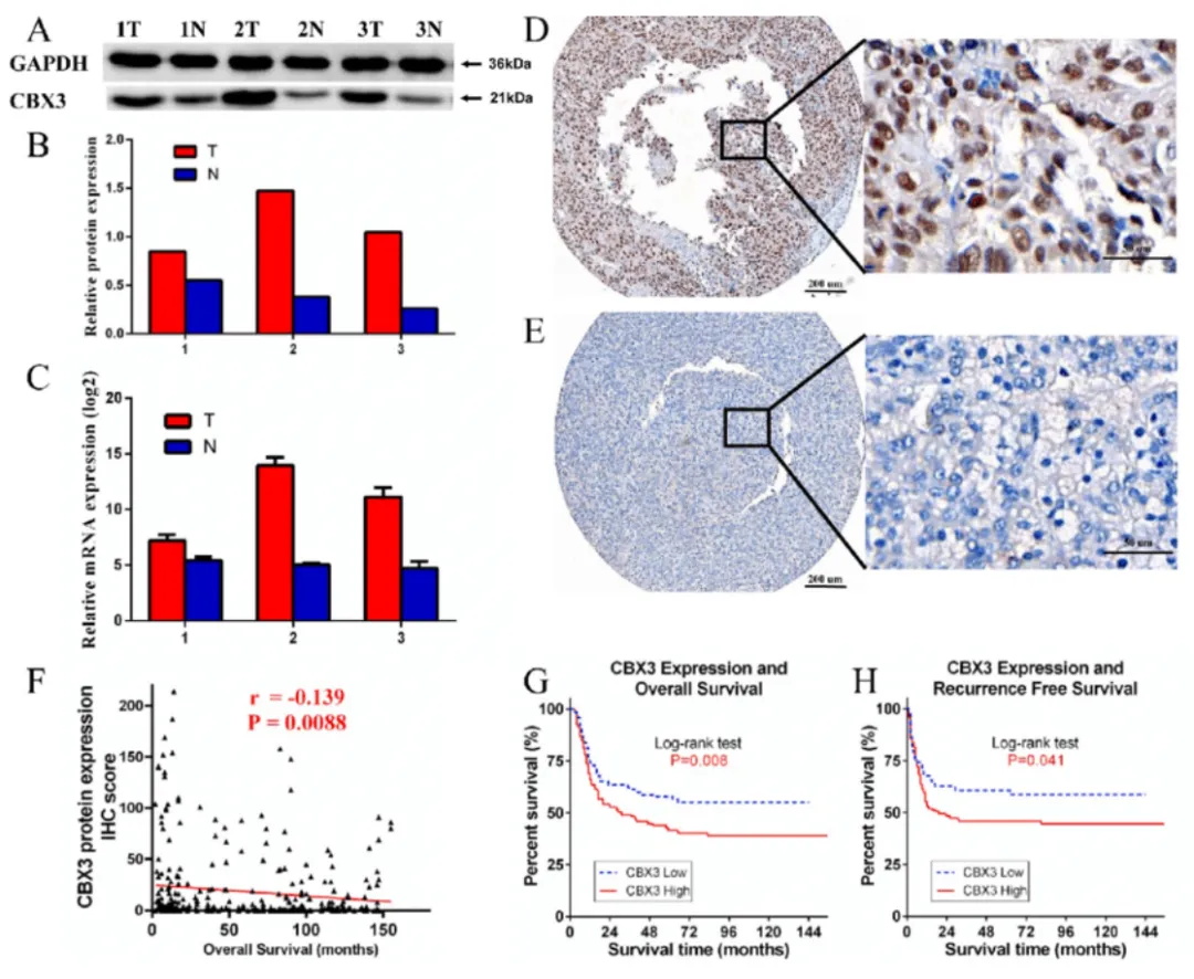 1765418990439692.png 4.png