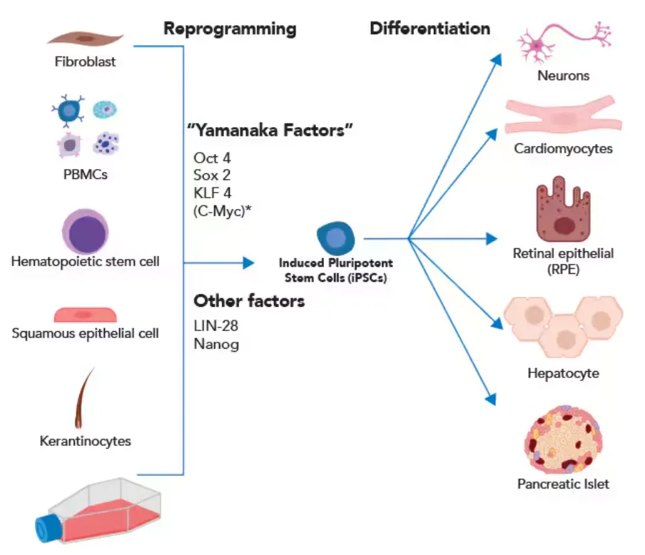 1765418997375759.png 5.png