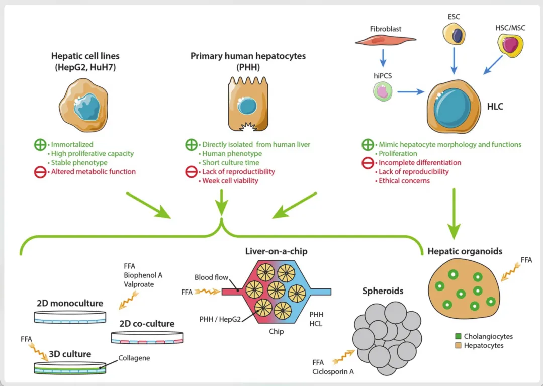 1765419005626113.png 6.png