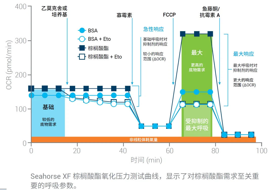 1767664635631359.png 640.png