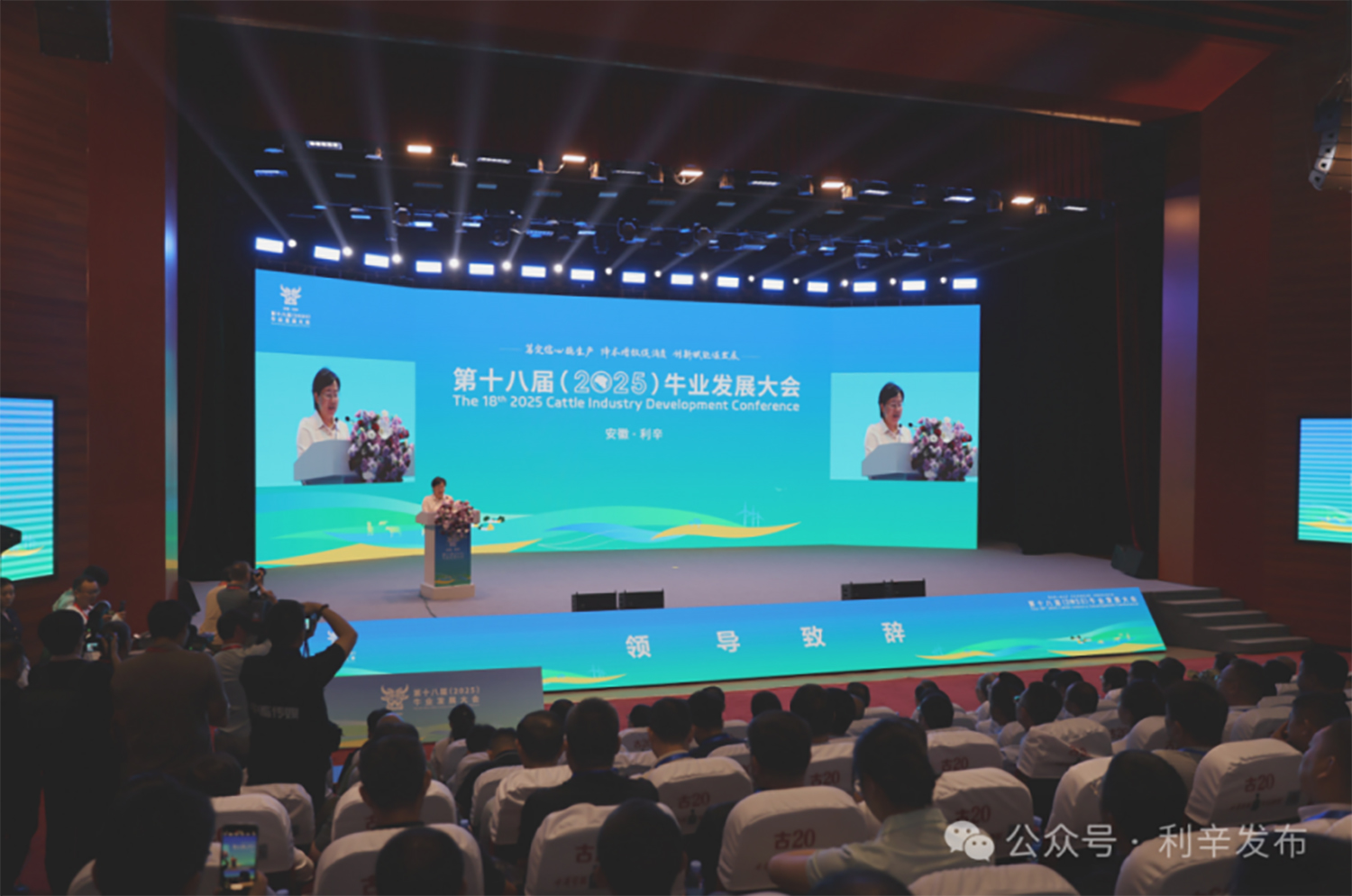 1767666799694781.jpg 图片14 拷贝.jpg