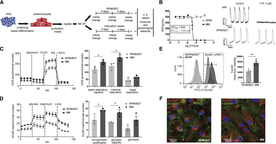 1769665855821841.png 3.png