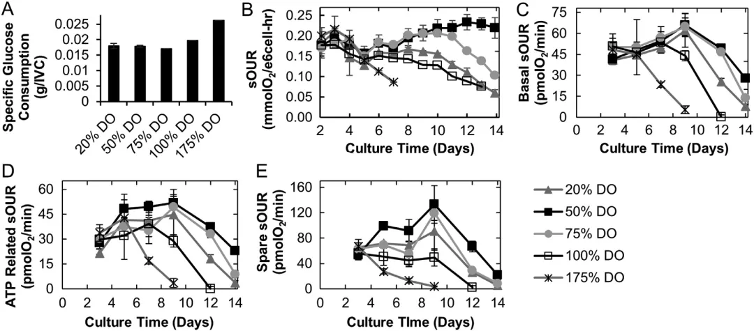 1769665898891647.png 5.png